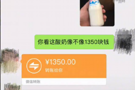 陆丰遇到恶意拖欠？专业追讨公司帮您解决烦恼